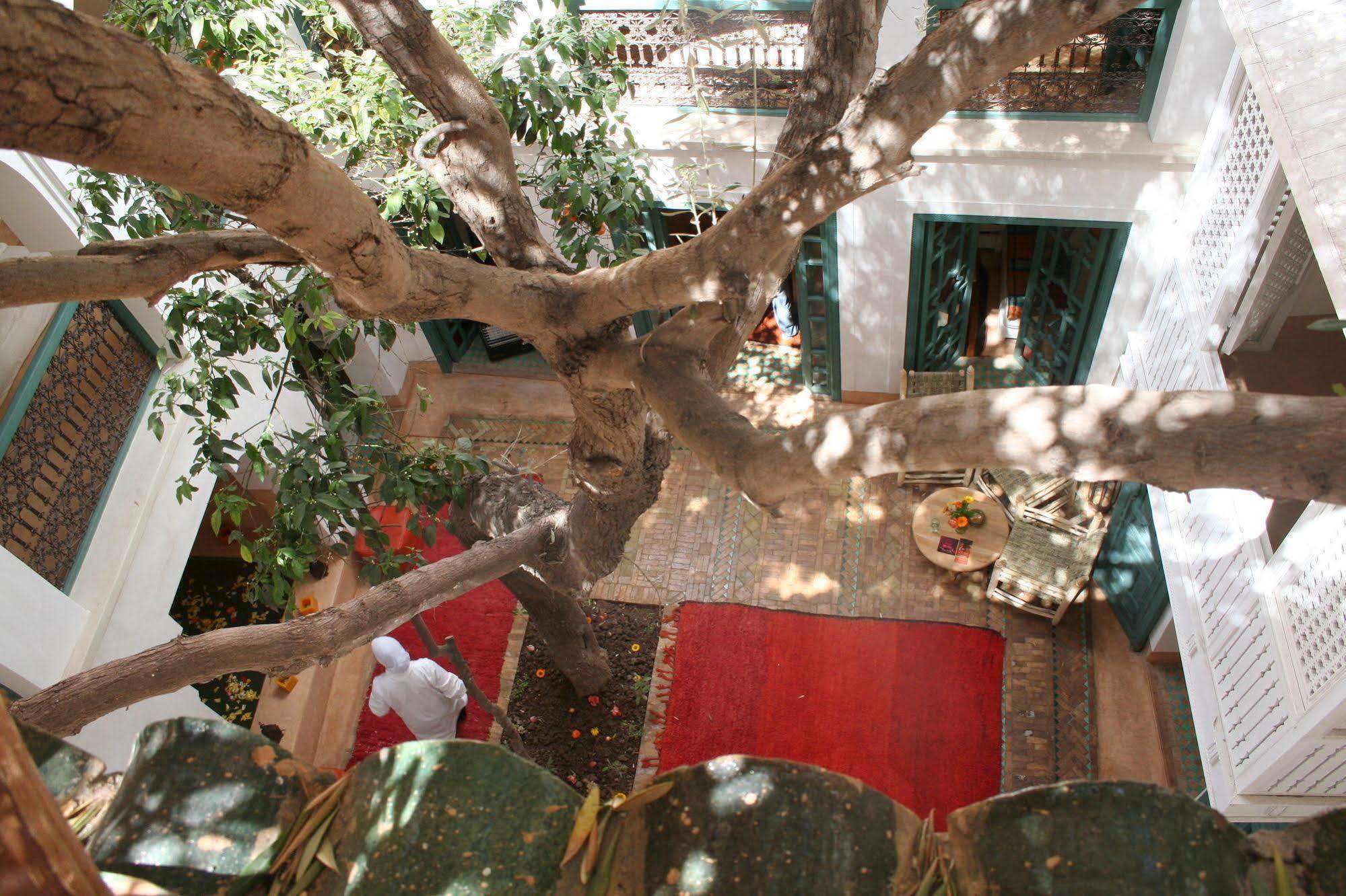 Riad Dar Zitouna En Exclusivite Марракеш Экстерьер фото